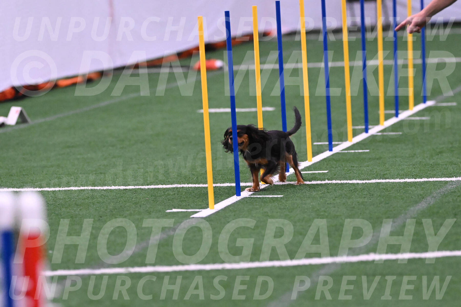 Max-Roger-Jones-05103