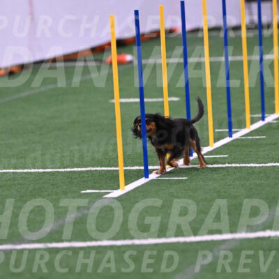 Max-Roger-Jones-05103
