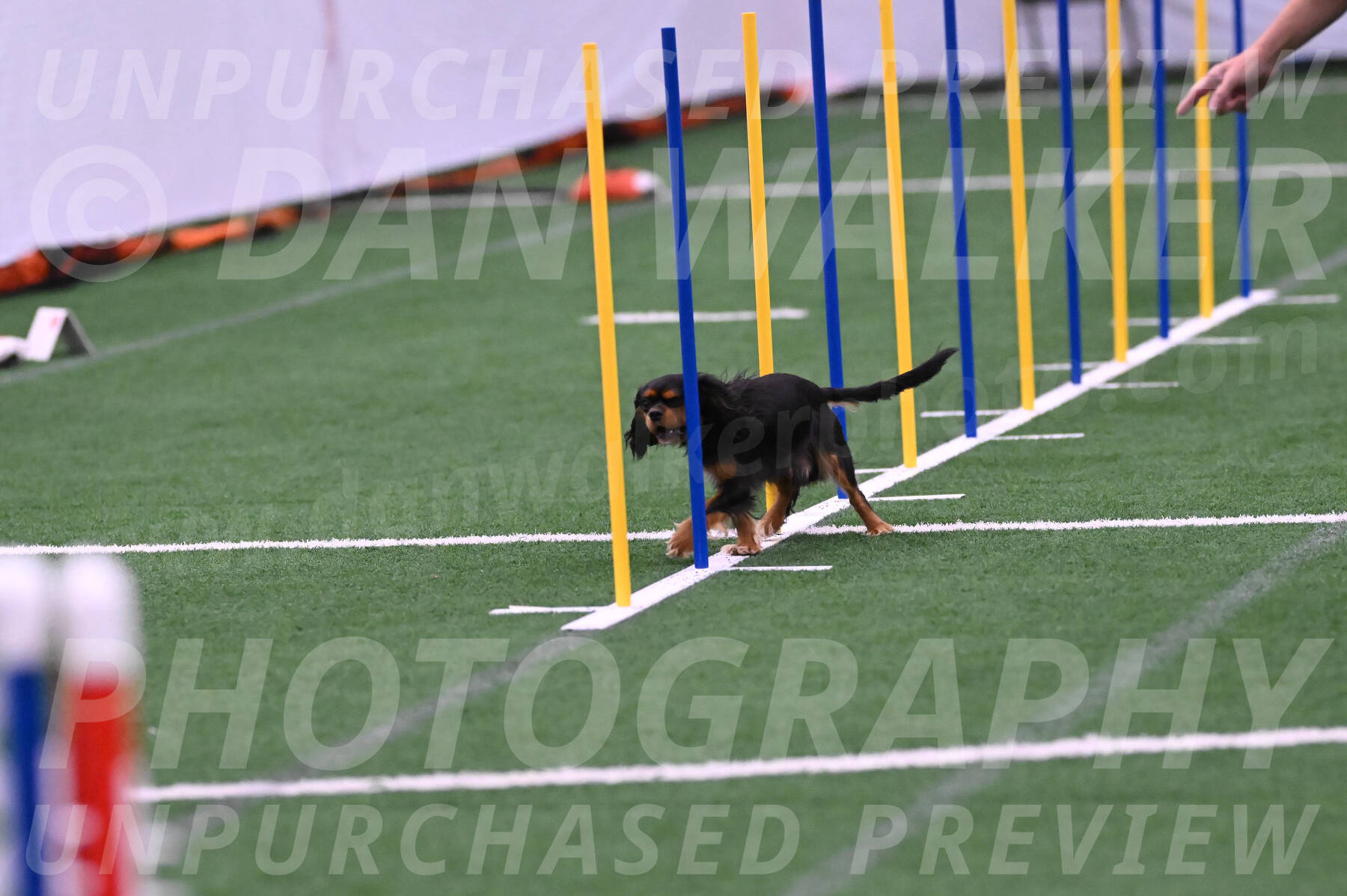 Max-Roger-Jones-05104