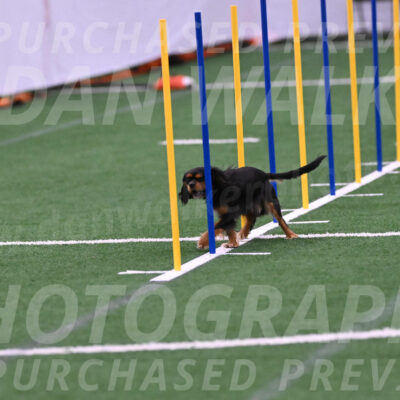 Max-Roger-Jones-05104