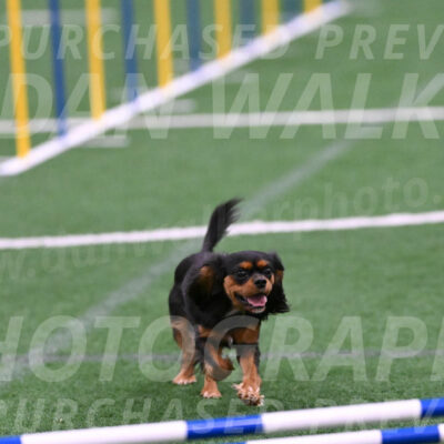Max-Roger-Jones-05109