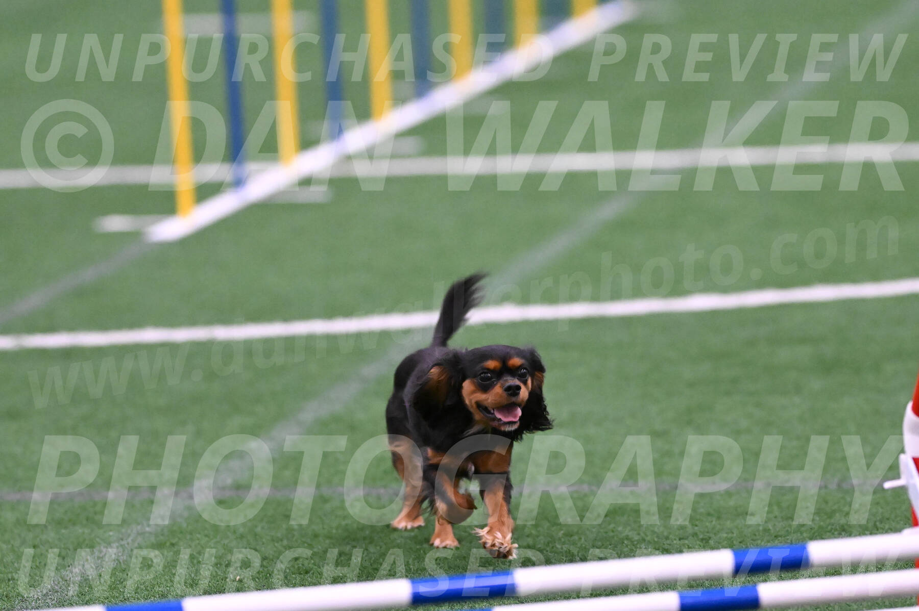 Max-Roger-Jones-05109