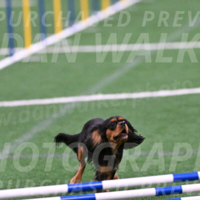 Max-Roger-Jones-05111