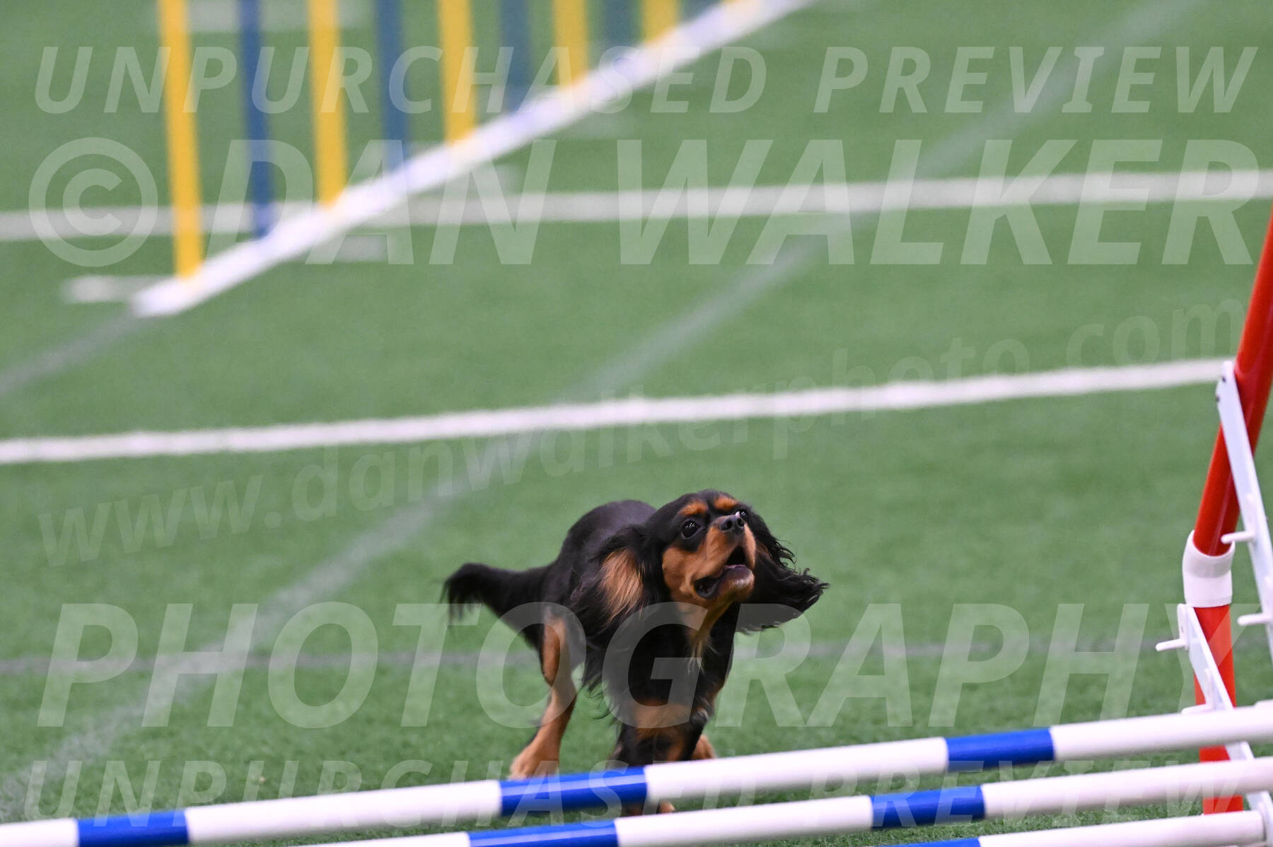 Max-Roger-Jones-05111