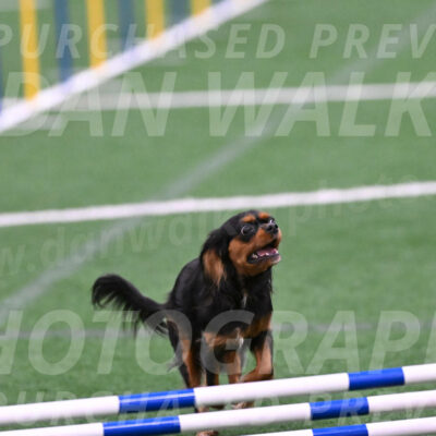 Max-Roger-Jones-05112