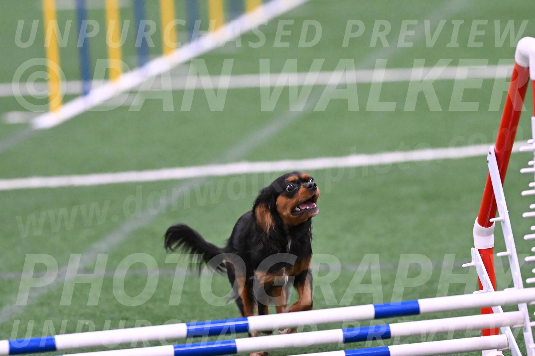Max-Roger-Jones-05112