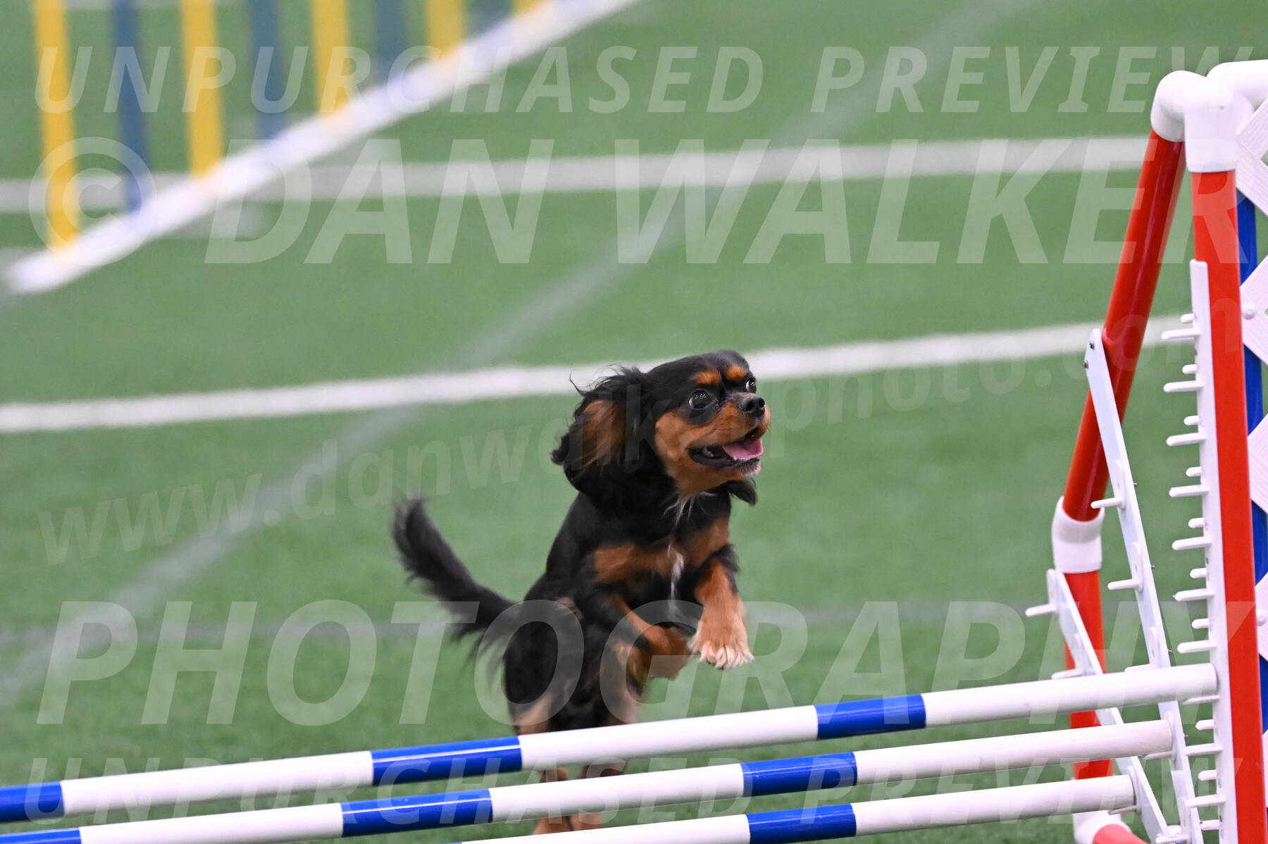 Max-Roger-Jones-05113