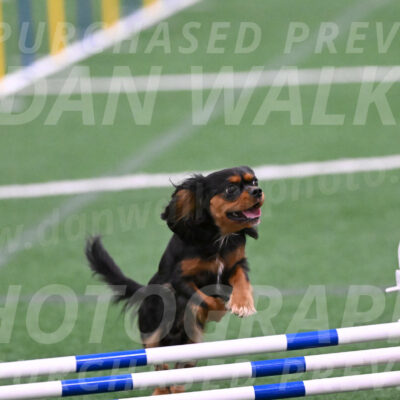 Max-Roger-Jones-05113