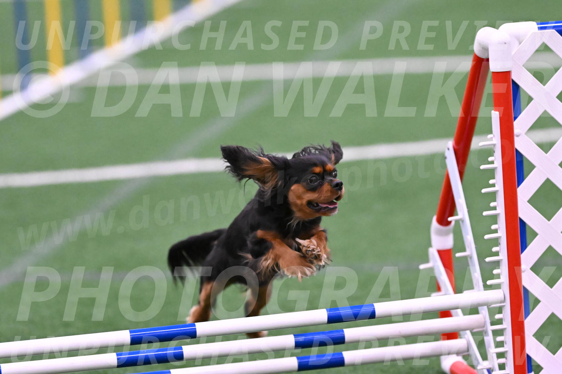 Max-Roger-Jones-05114