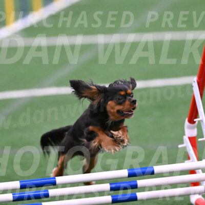 Max-Roger-Jones-05114