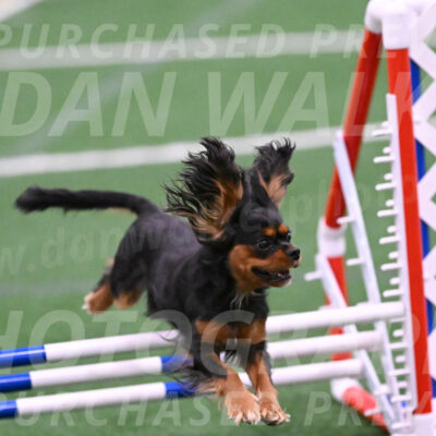 Max-Roger-Jones-05116