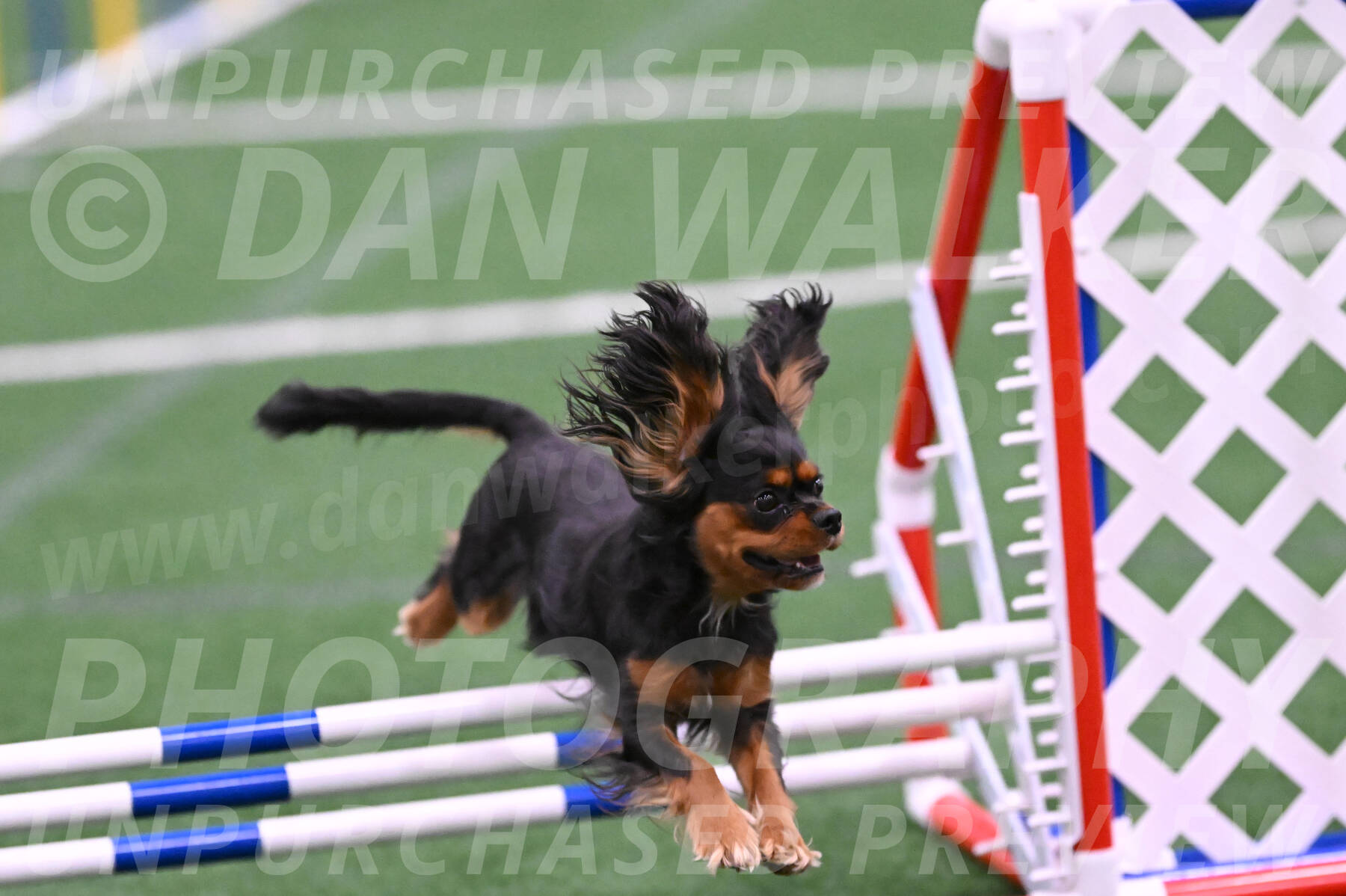 Max-Roger-Jones-05116