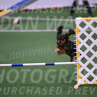 Max-Roger-Jones-05130