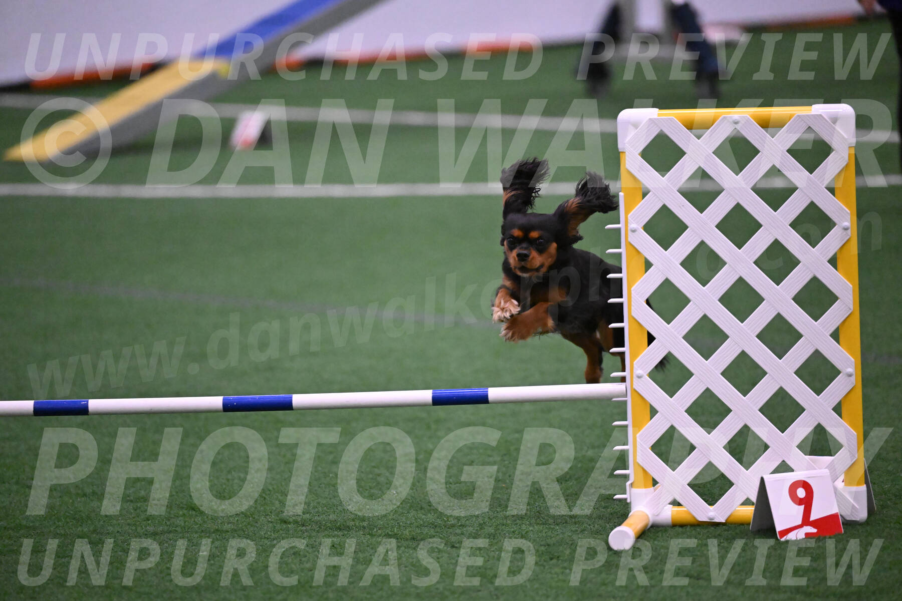 Max-Roger-Jones-05130