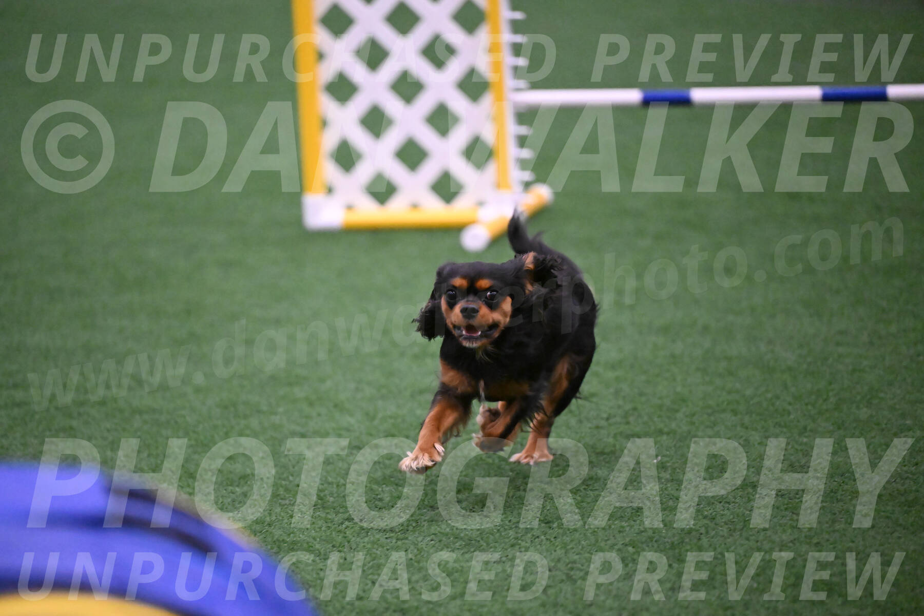 Max-Roger-Jones-05135
