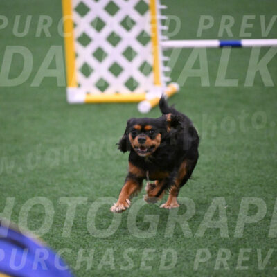 Max-Roger-Jones-05135
