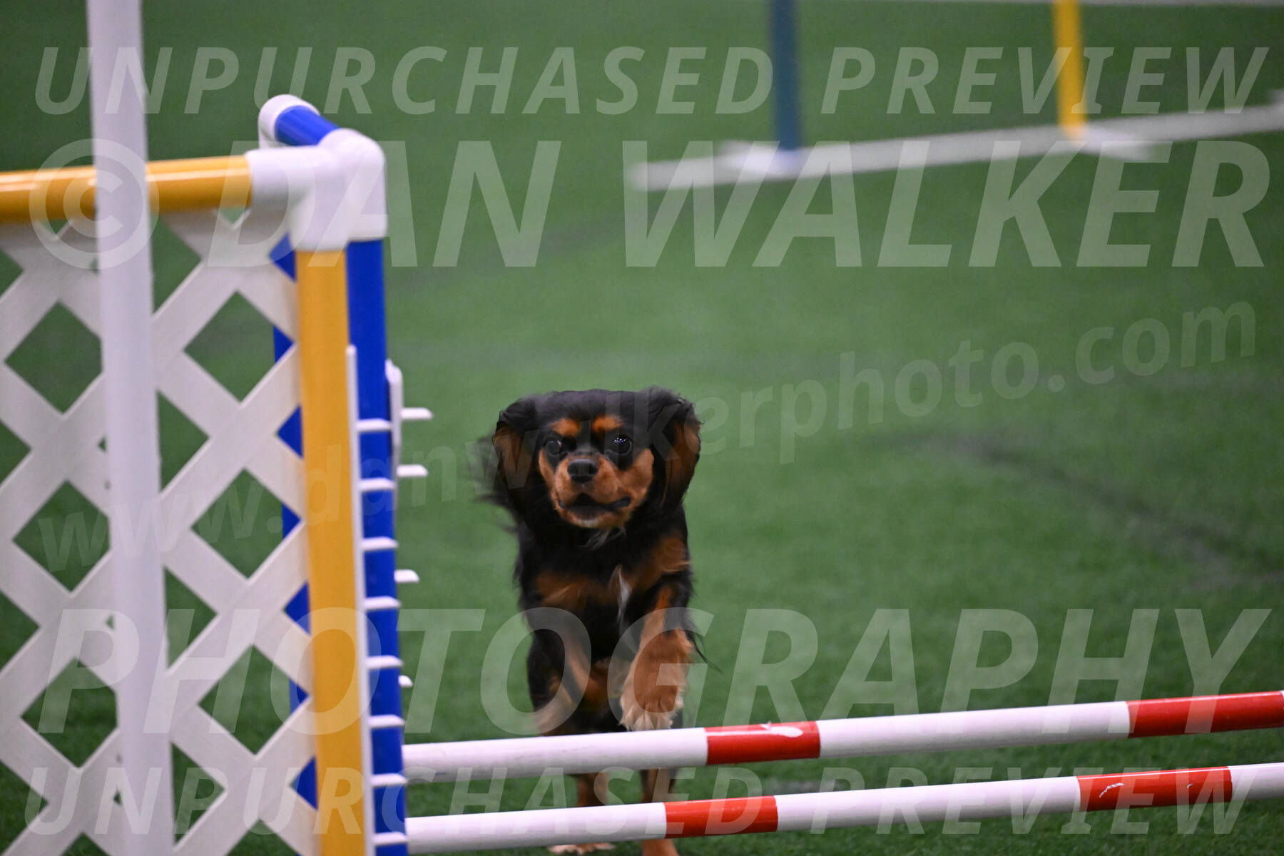 Max-Roger-Jones-05158