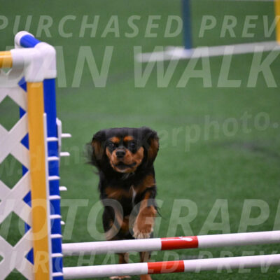 Max-Roger-Jones-05158