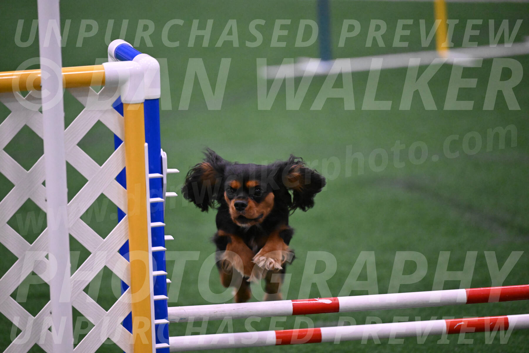 Max-Roger-Jones-05159