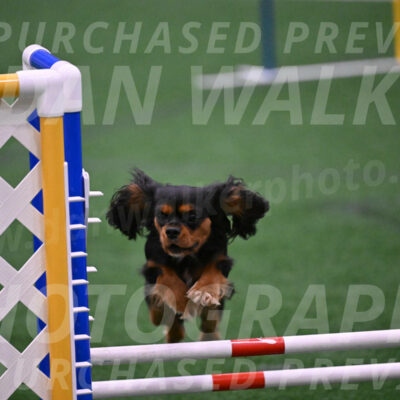 Max-Roger-Jones-05159