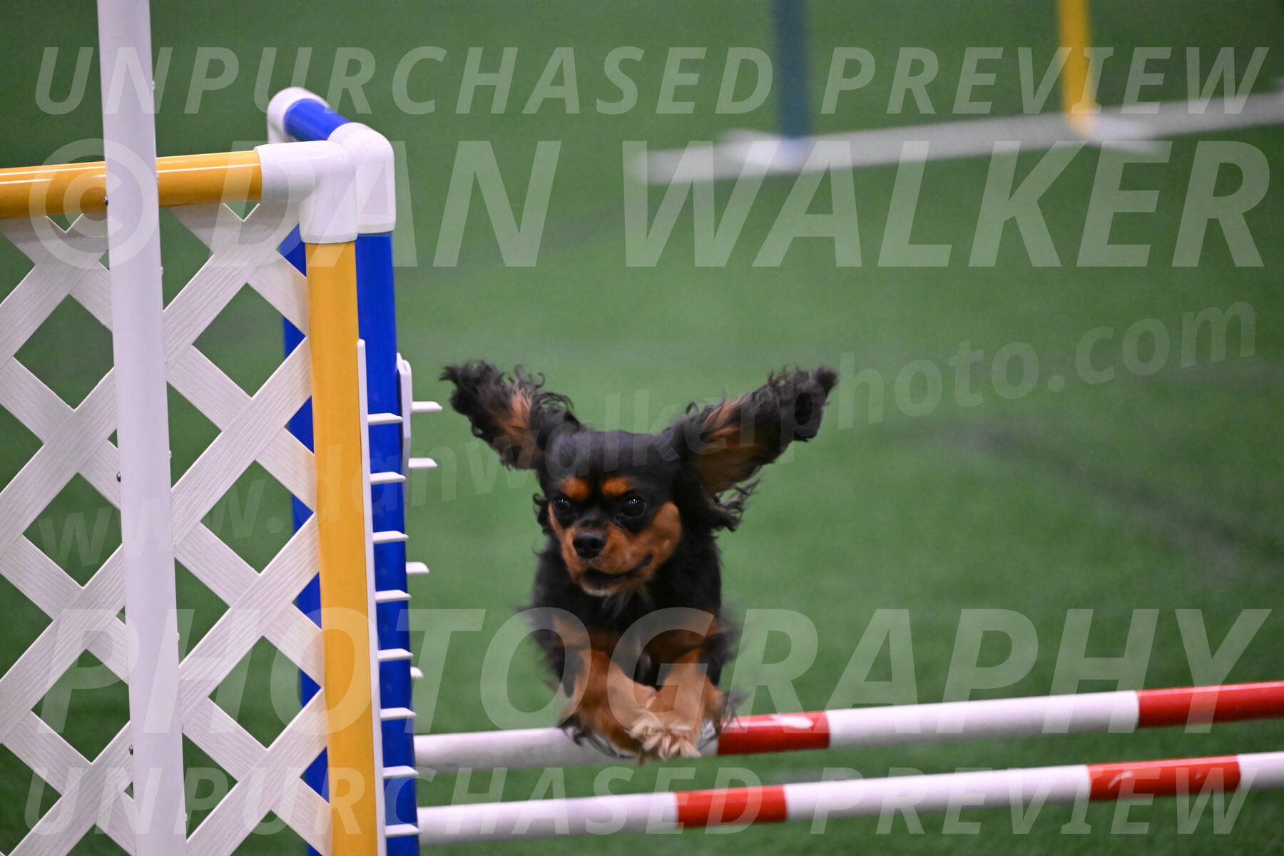 Max-Roger-Jones-05160