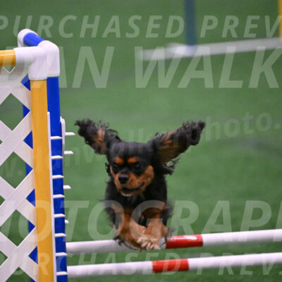 Max-Roger-Jones-05160
