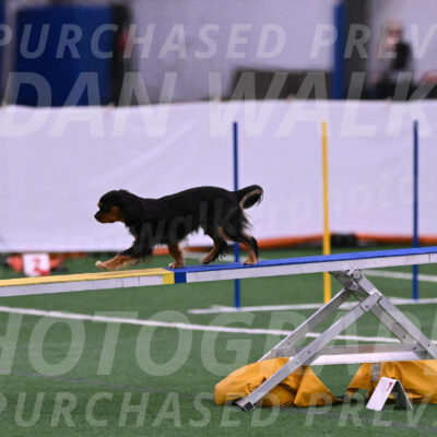 Max-Roger-Jones-05165
