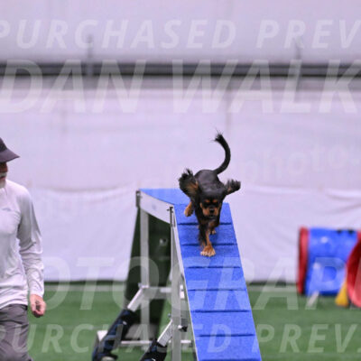 Max-Roger-Jones-05172