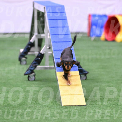 Max-Roger-Jones-05175
