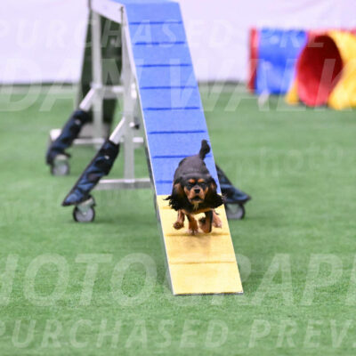 Max-Roger-Jones-05176