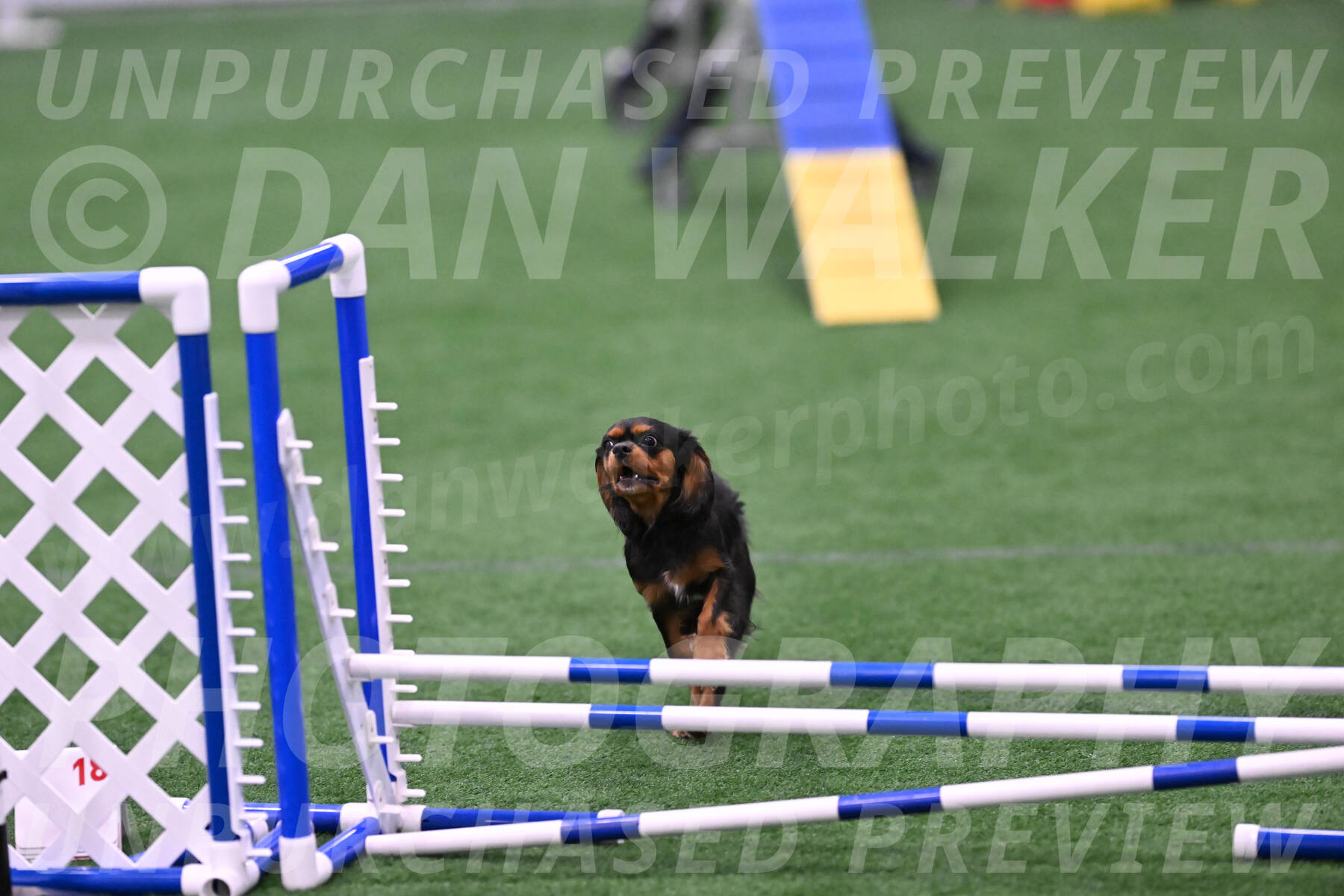 Max-Roger-Jones-05180