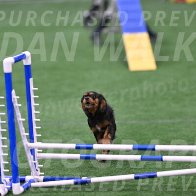 Max-Roger-Jones-05180