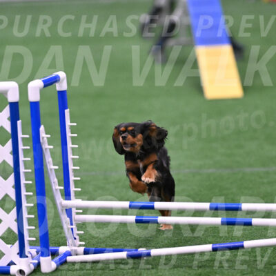 Max-Roger-Jones-05181