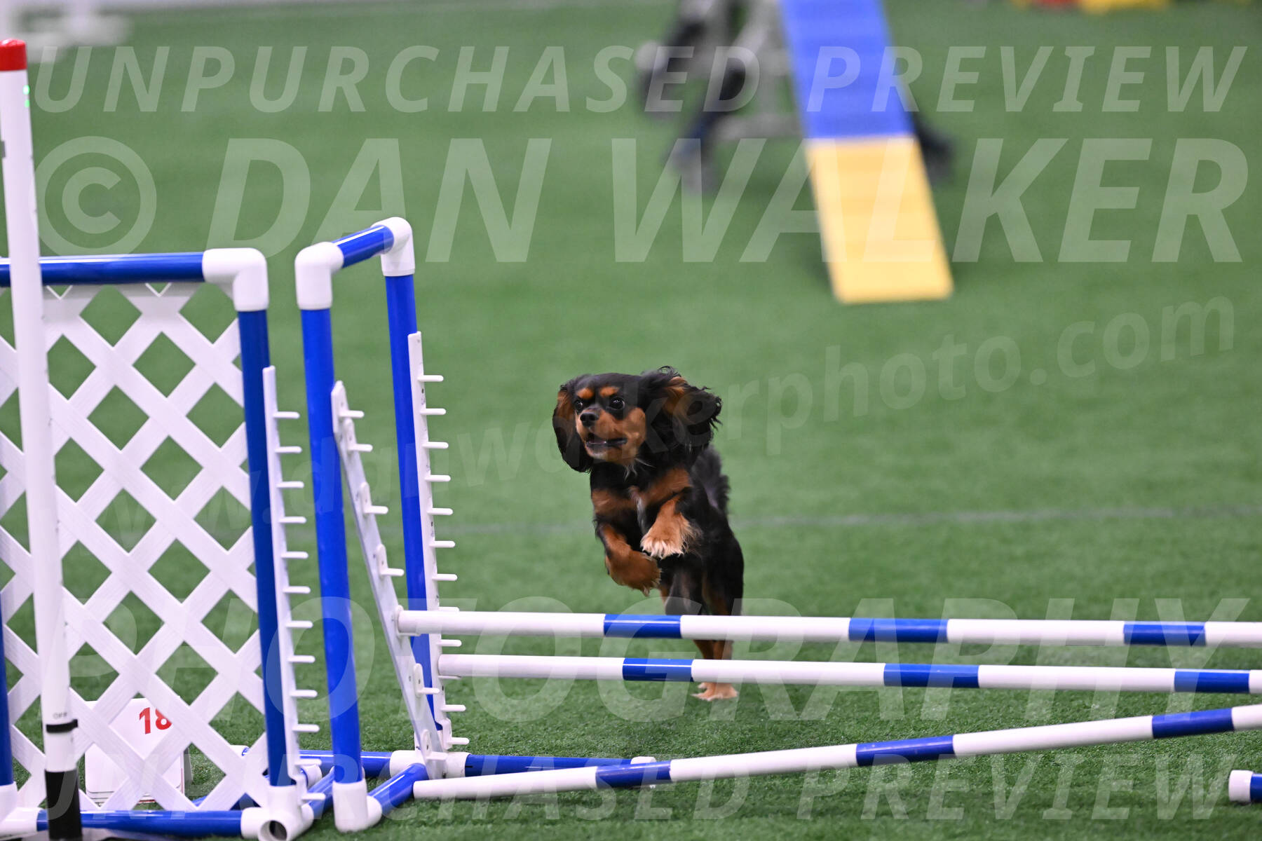 Max-Roger-Jones-05181