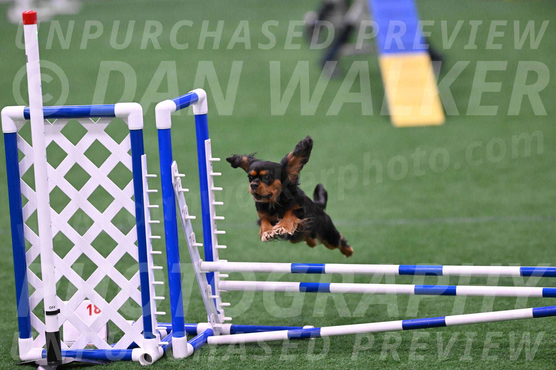 Max-Roger-Jones-05182