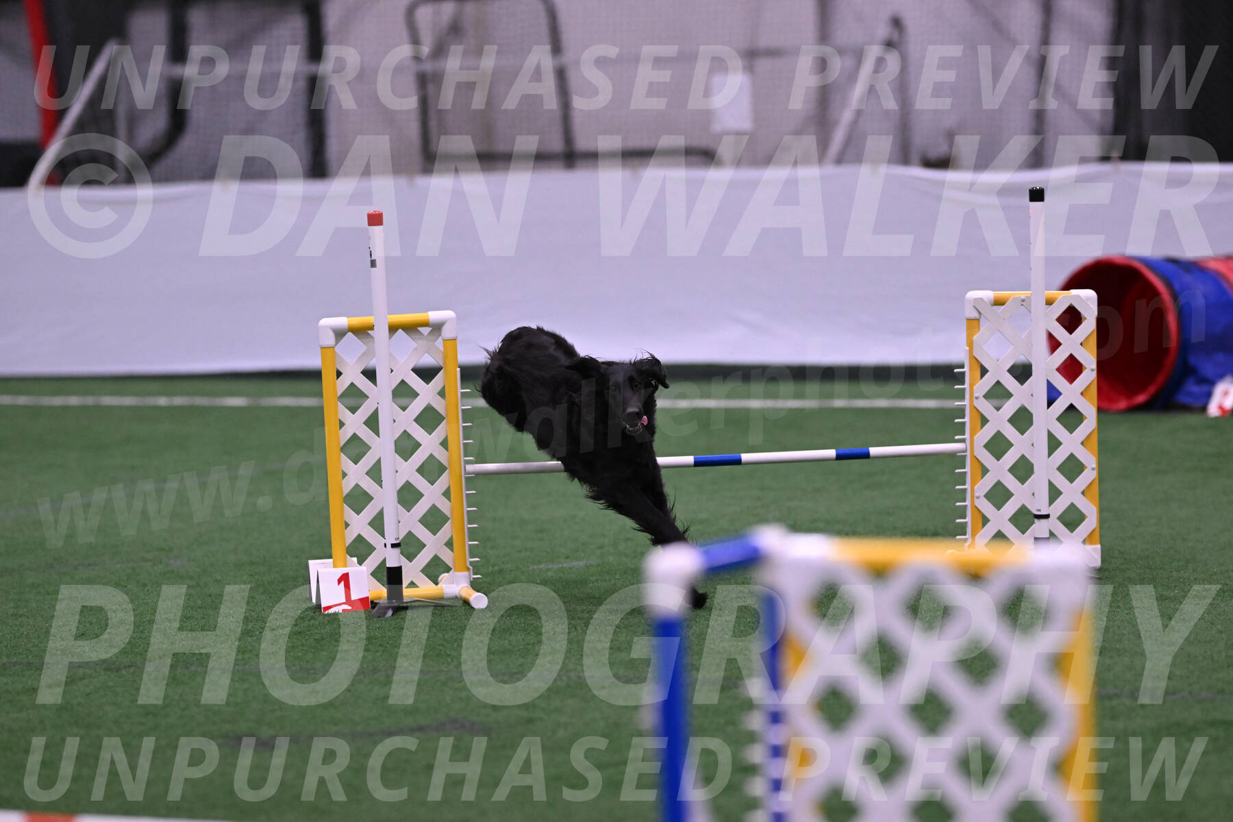 Mesa-Heather-Coulis-27899