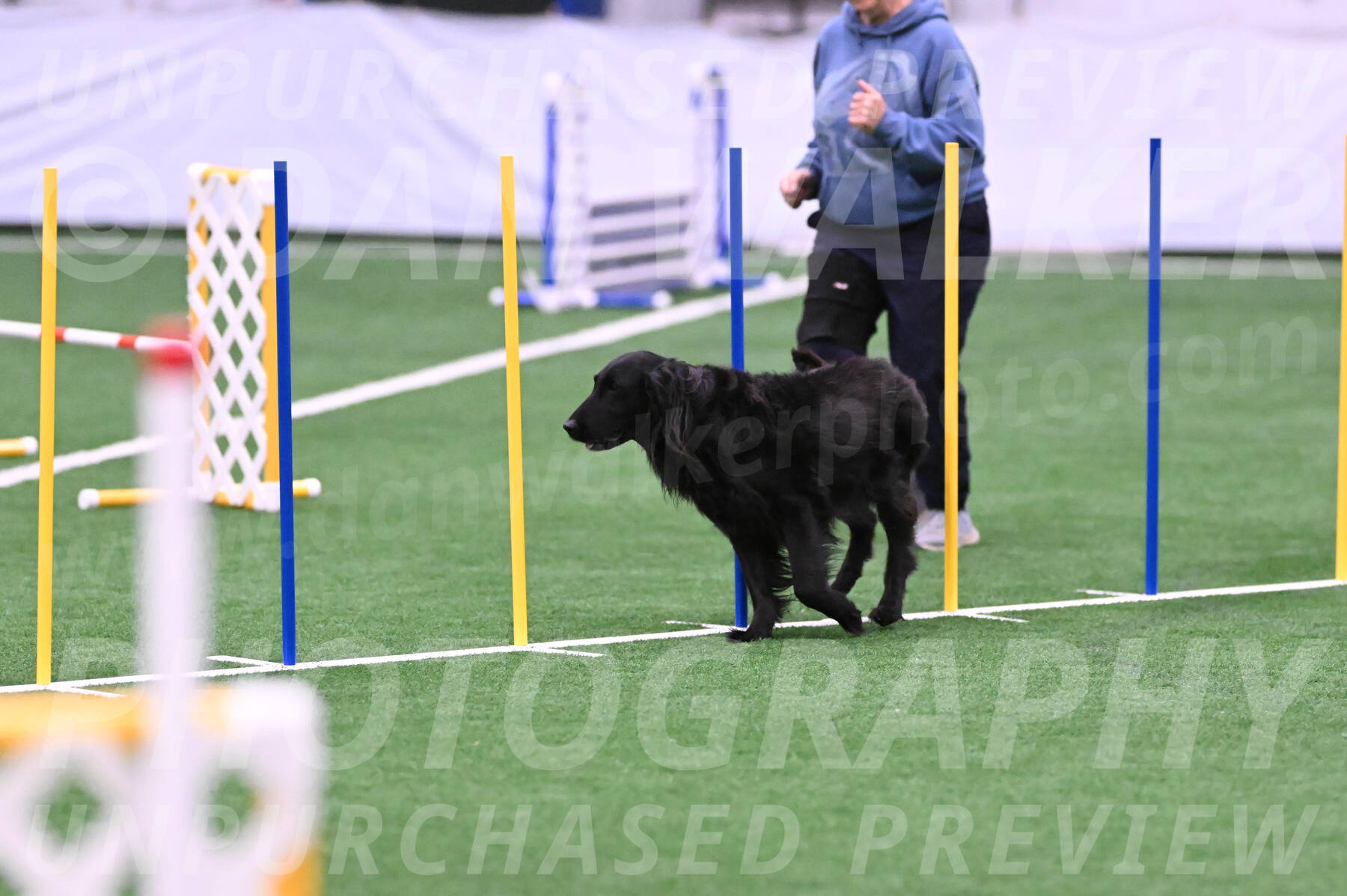 Mesa-Heather-Coulis-27984
