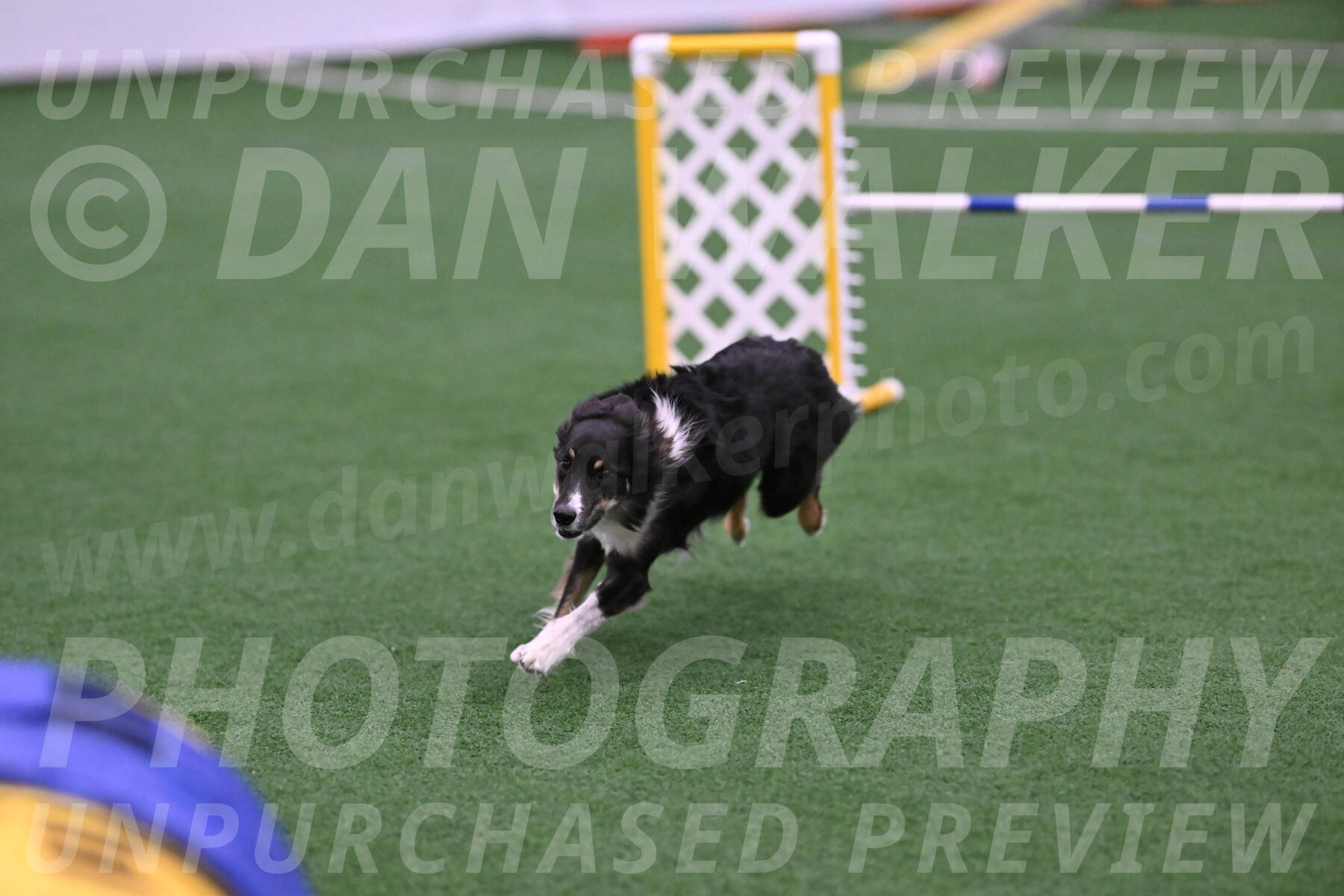 Finley-Annette-Oakley-26004