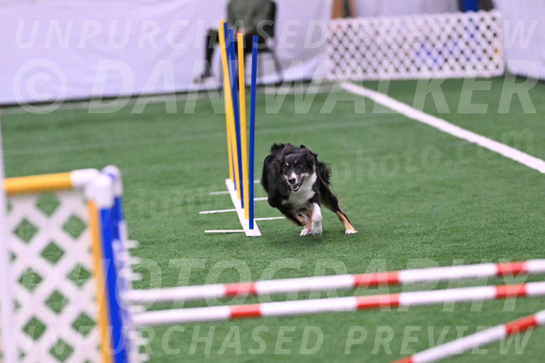 Finley-Annette-Oakley-26035
