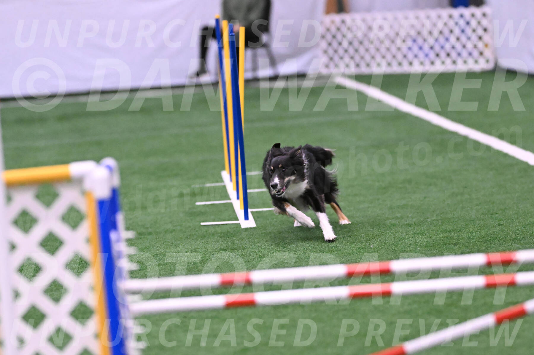 Finley-Annette-Oakley-26036
