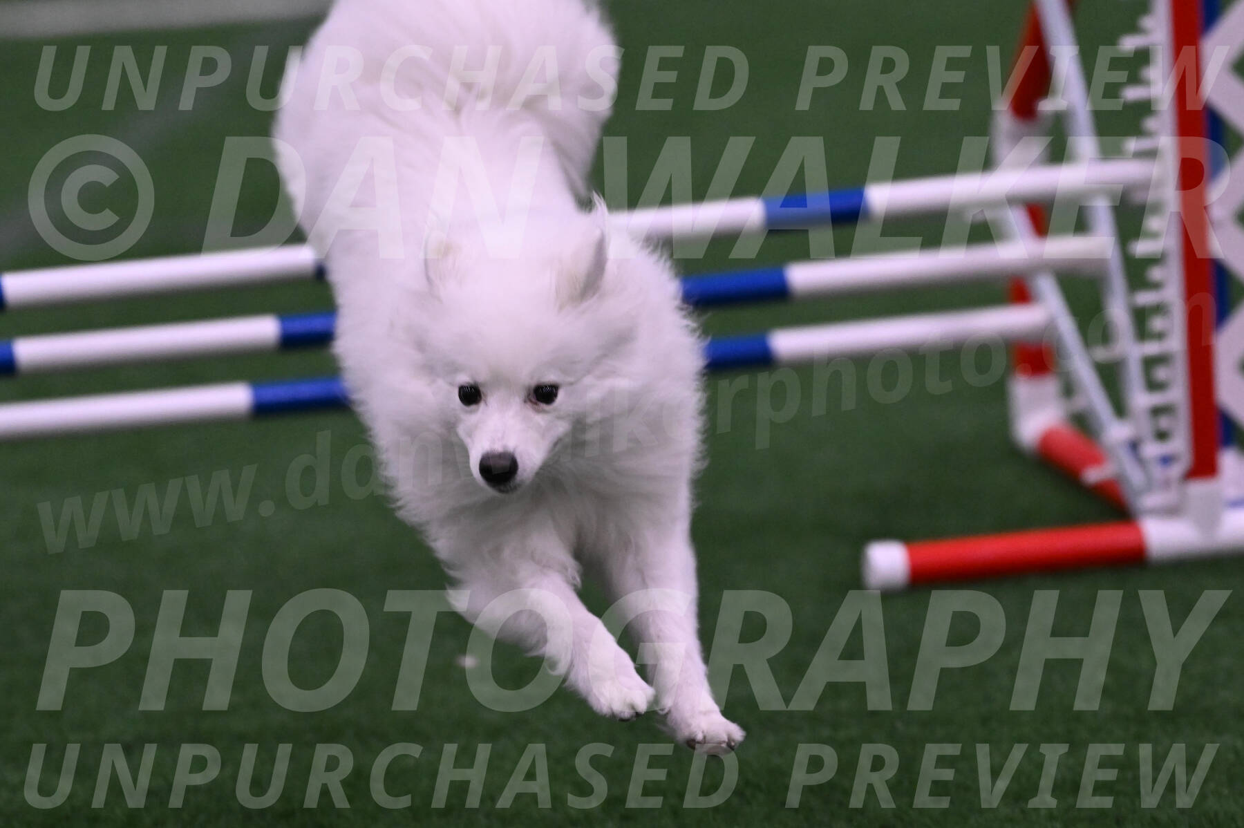 Miska-Glenn-Rawsky-08163