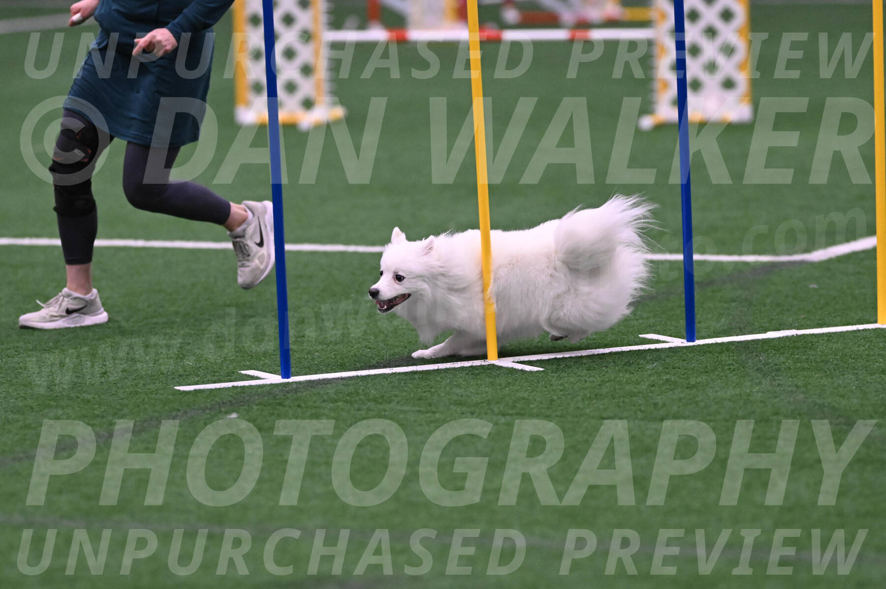 Miska-Glenn-Rawsky-08203