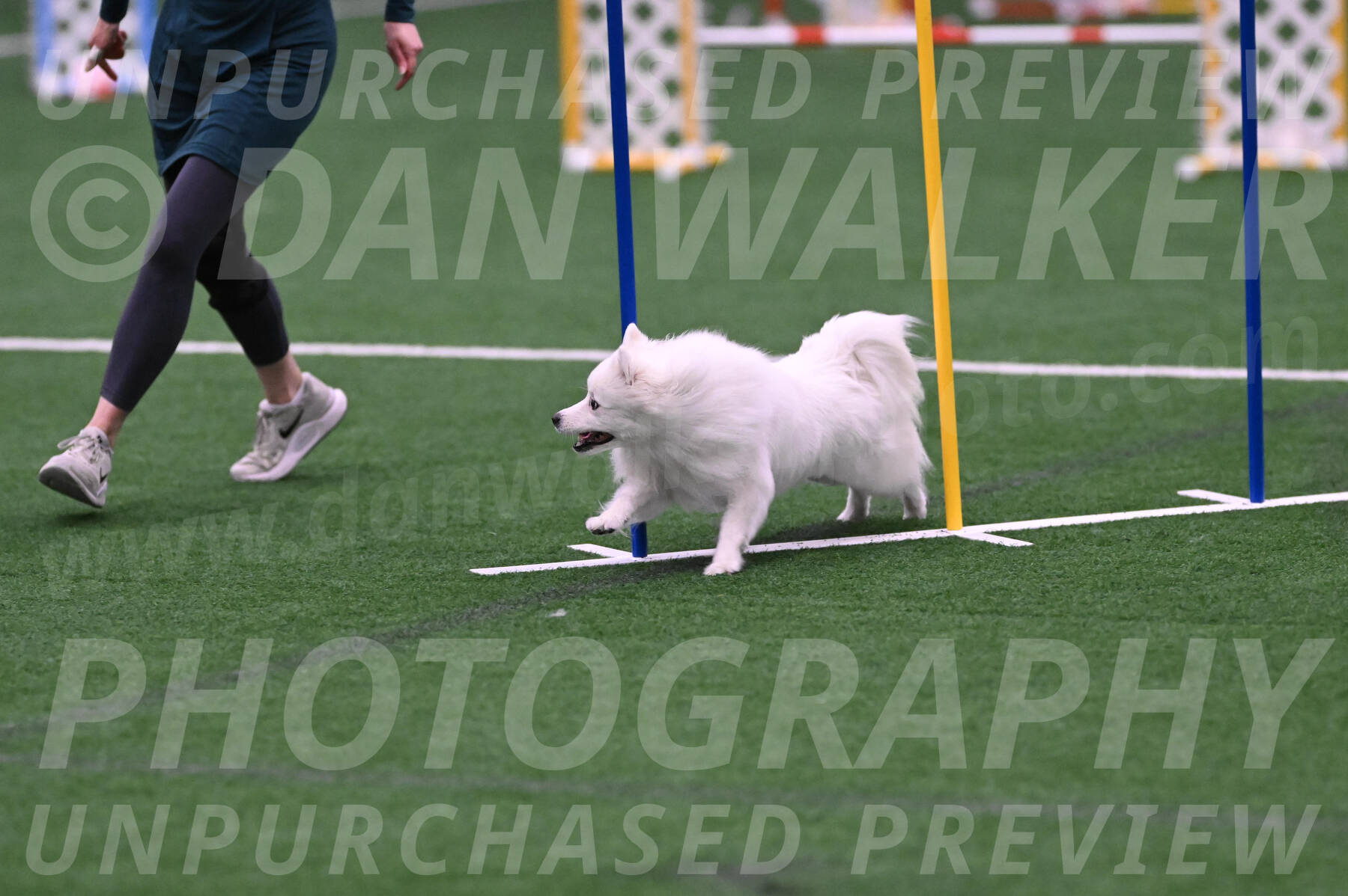 Miska-Glenn-Rawsky-08205
