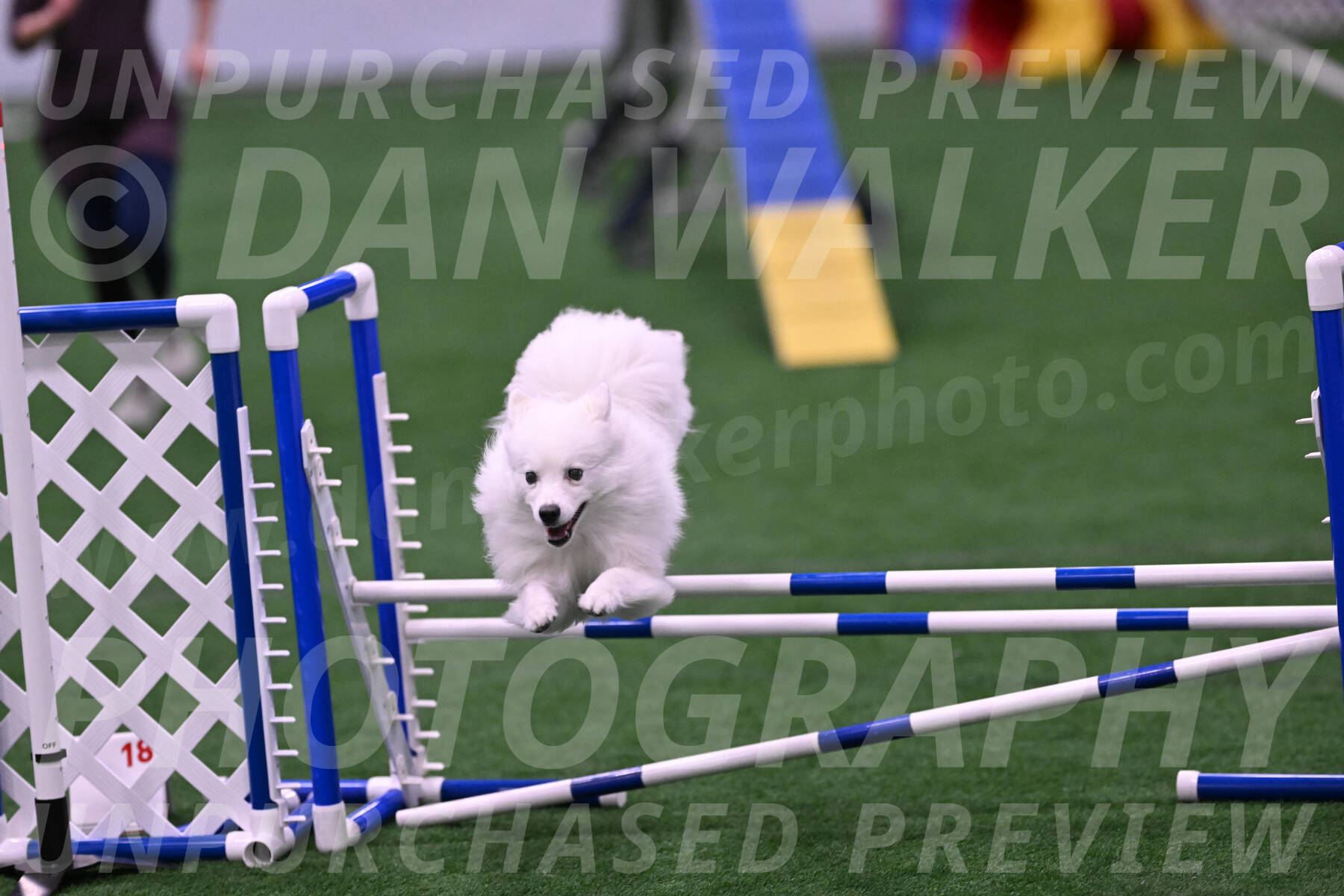 Miska-Glenn-Rawsky-08236