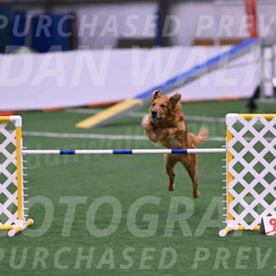 Mister-Rogers-Megan-Sapsford-R-16013