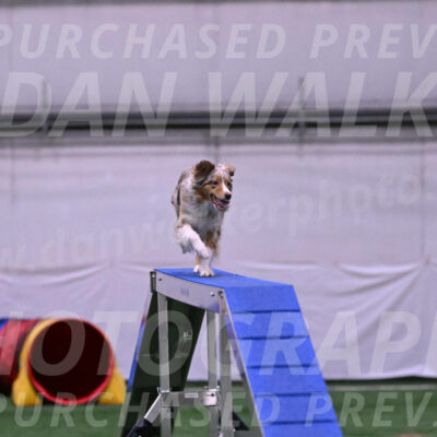 Morgan-Cindy-Dover-25793