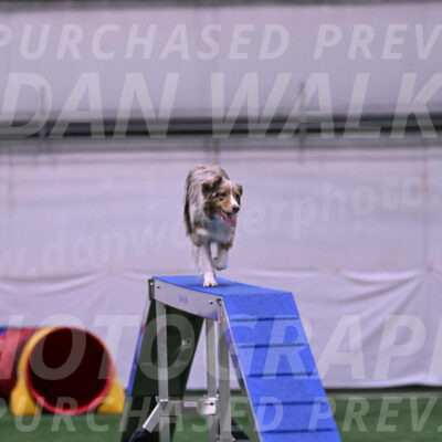 Morgan-Cindy-Dover-25794
