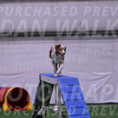 Morgan-Cindy-Dover-25795