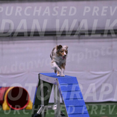 Morgan-Cindy-Dover-25796