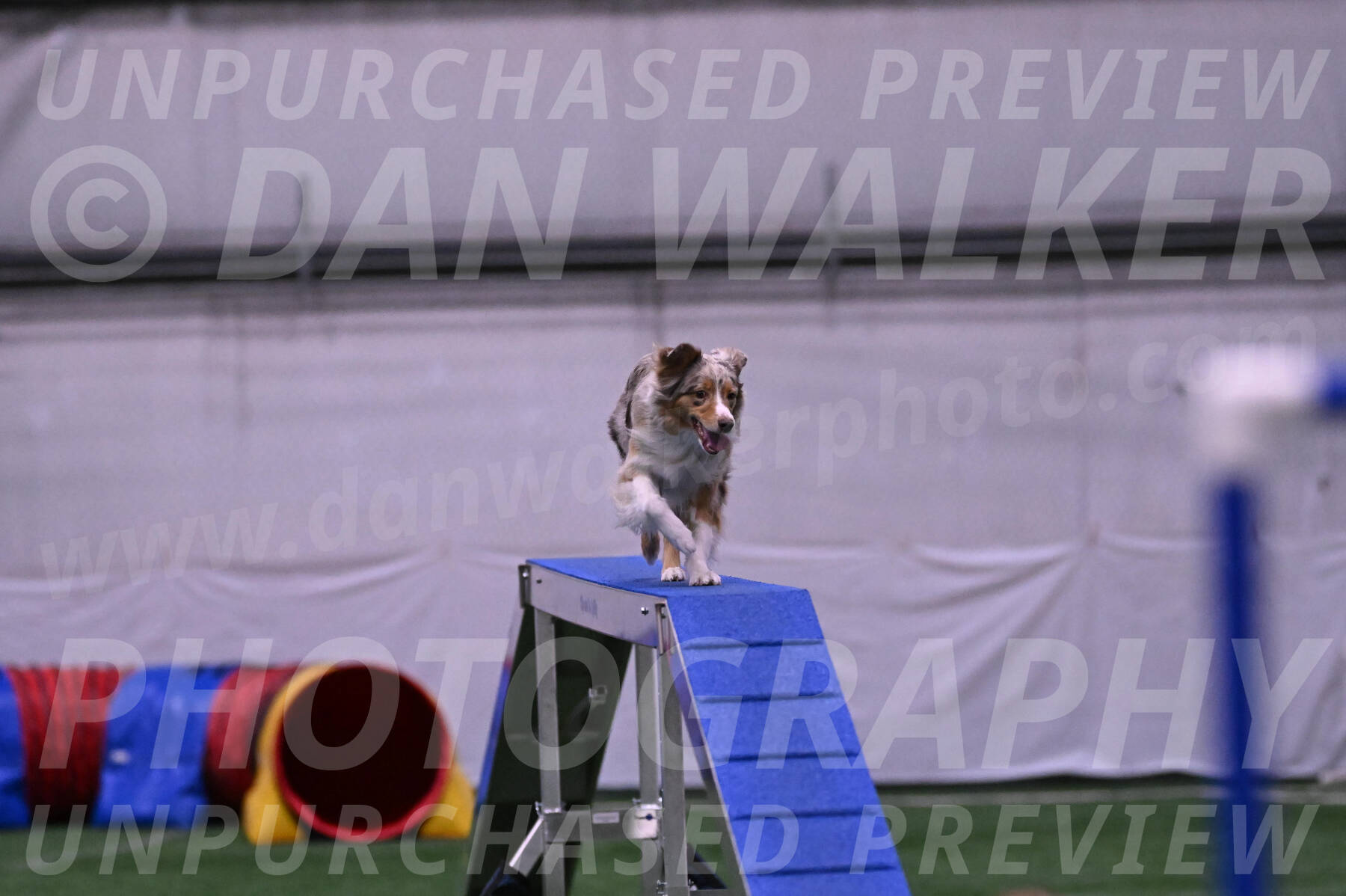 Morgan-Cindy-Dover-25796